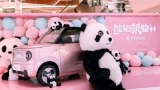 Panda Mini Elektrikli Aracı 5.700 Dolardan Başlıyor