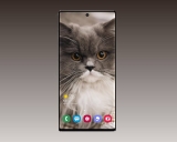 Samsung Galaxy Note 10 Pro Depolama Seçenekleri Belli Oldu!