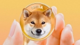 Shiba Coin Nedir? 2022 Shiba Coin Geleceği ve Yorumları