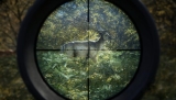 theHunter: Call of the Wild Sistem Gereksinimleri